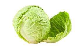 热门推荐 - 壹号娱乐直播APP